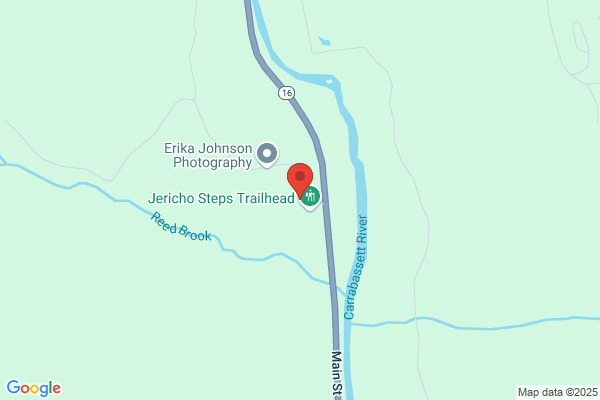 Carrabassett Veterinary Service