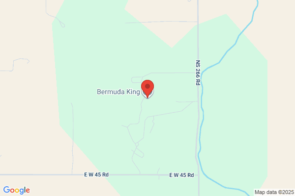 Bermuda King