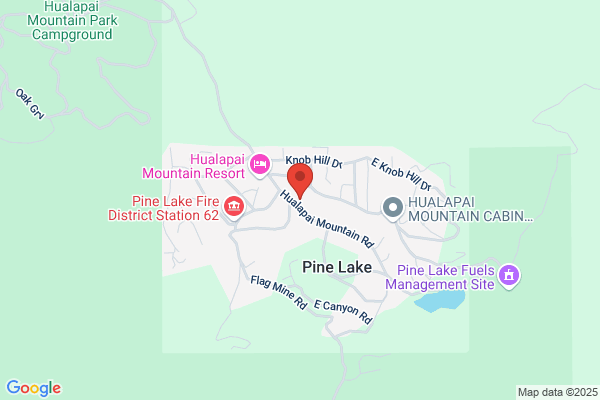 Fire Department, Pine Lake Volunteers