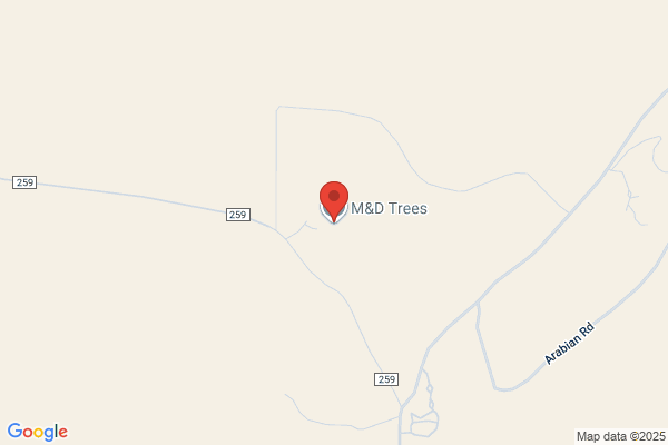 Kingman Evergreen Tree Farm