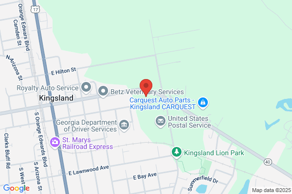 Advance Auto Parts