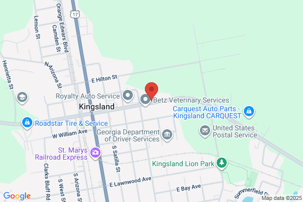 Camden Plumbing Service