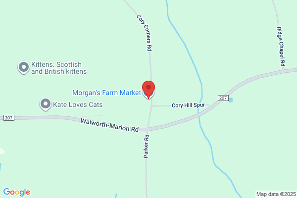 Morgan Farms