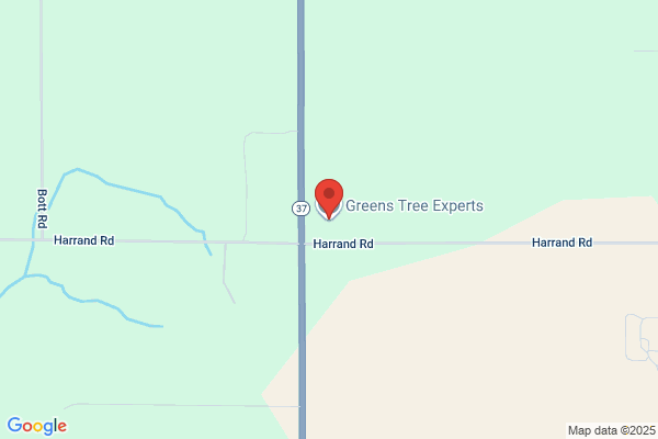 Green's Tree Experts