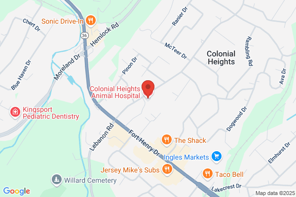 Allandale Animal Hospital