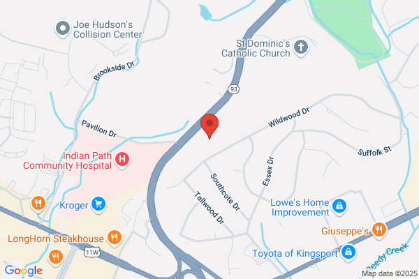Holston Medical Group