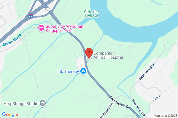Companion Animal Hospital