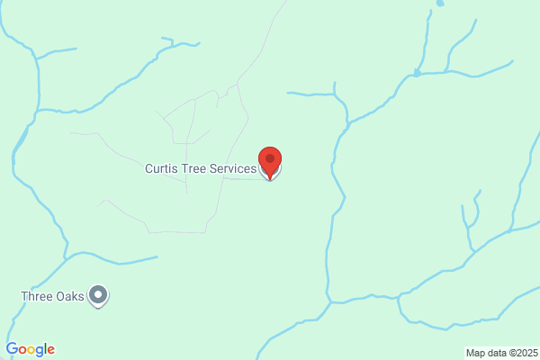 Curtis Martin's Tree Surgery