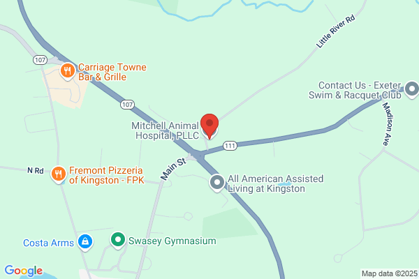 Mitchell Animal Hospital