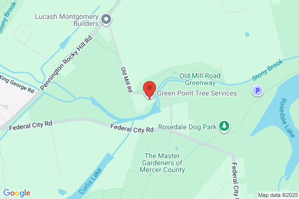 Green Point Tree Services