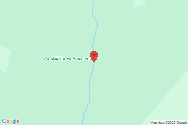 Catskill Forest Sports