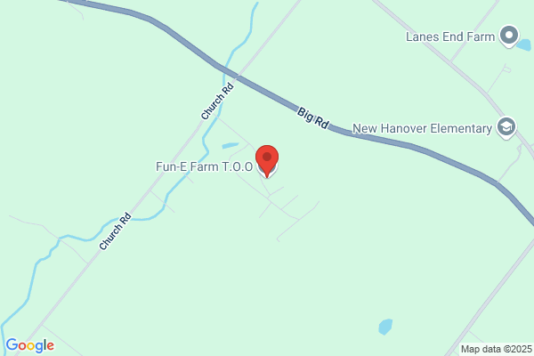 The Fun-E Farm