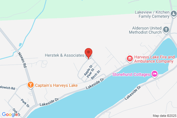 Herstek and Associates