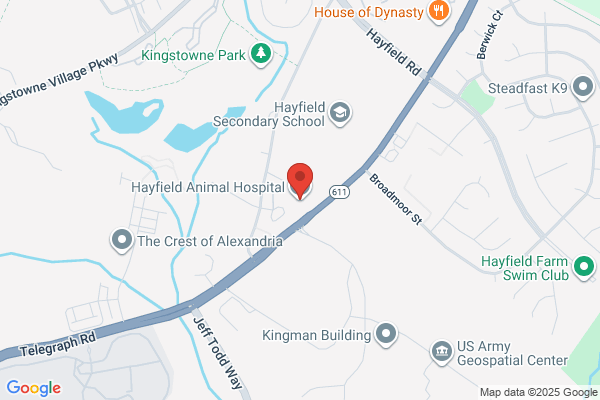 Hayfield Animal Hospital