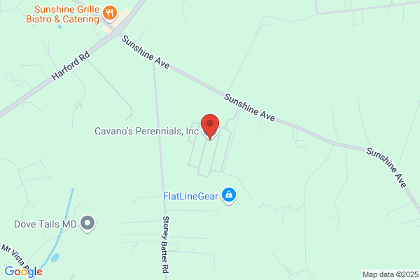 Cavanos Perennial Farm