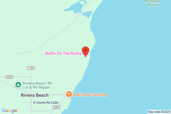 Baffin On the Rocks