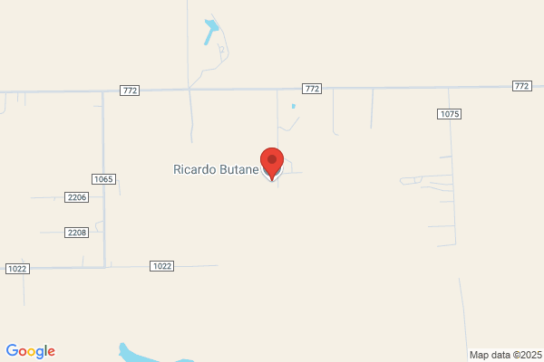 Ricardo Butane