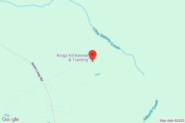 Kings Kennels Dog Training
