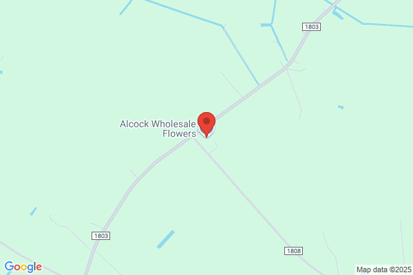 Alcock Flowers