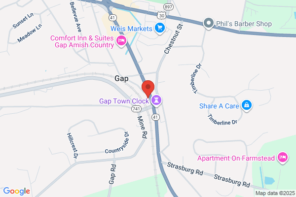 Village Arms the