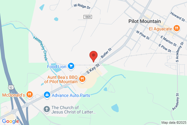 Cone Will C DVM