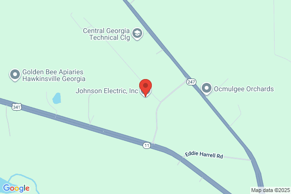 Johnson Electric Inc