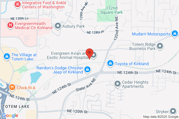 Deyoung Mfg Inc