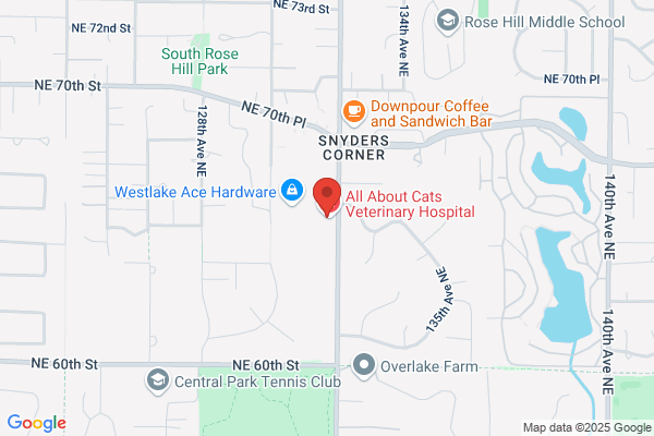 Bridle Trails Family Dentistry