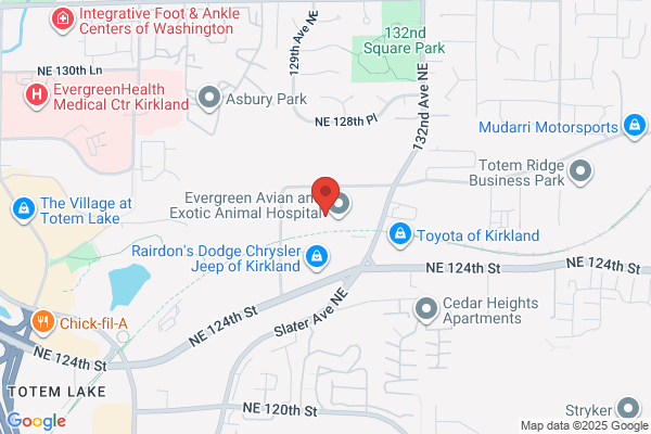 Dynamic Laundry & Drycleaning Systems Inc