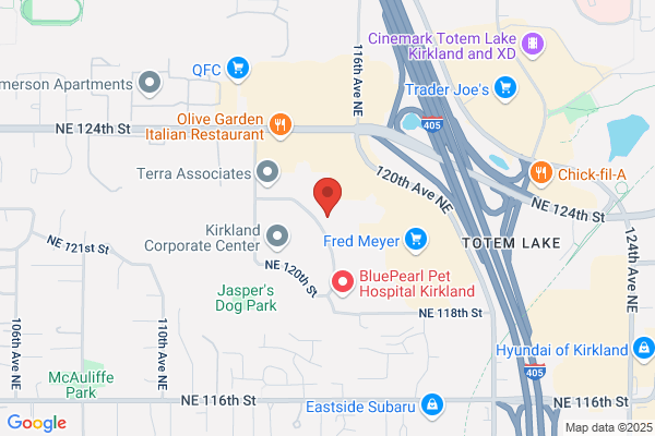 Echodyne Corp
