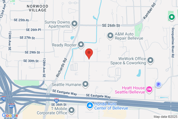 Emergency Plumbing Pros of Bellevue