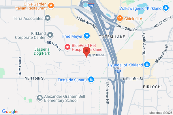 MorningStar Senior Living of Kirkland
