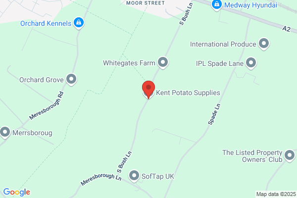 Potato Supply
