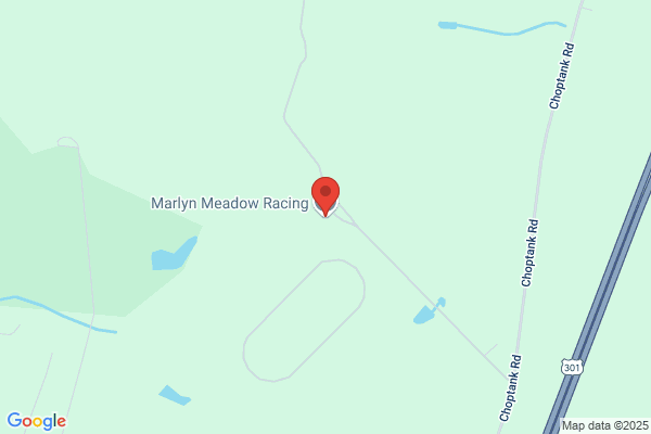 Marlyn Meadown Arabians