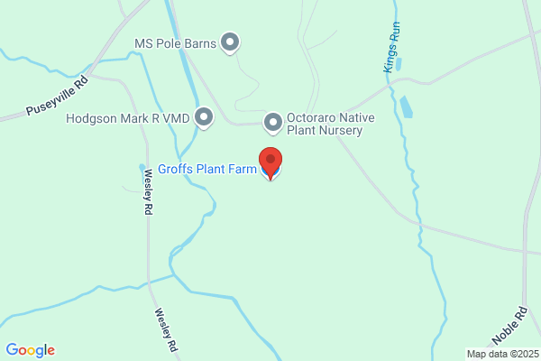 Groffs Plant Farm