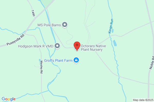 Octoraro Native Plant Nursery