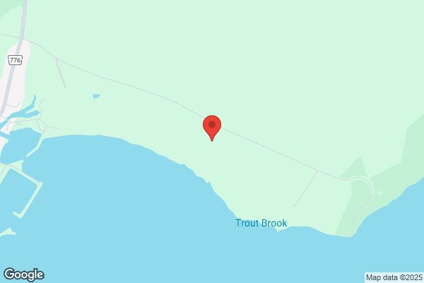 Whale Camp