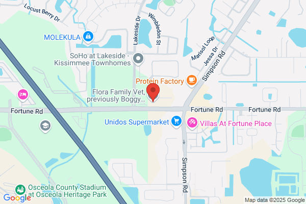 Boggy Creek Animal Hospital