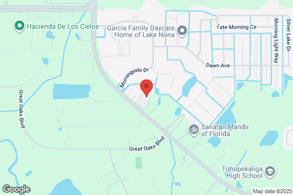 Boggy Creek Bromeliads