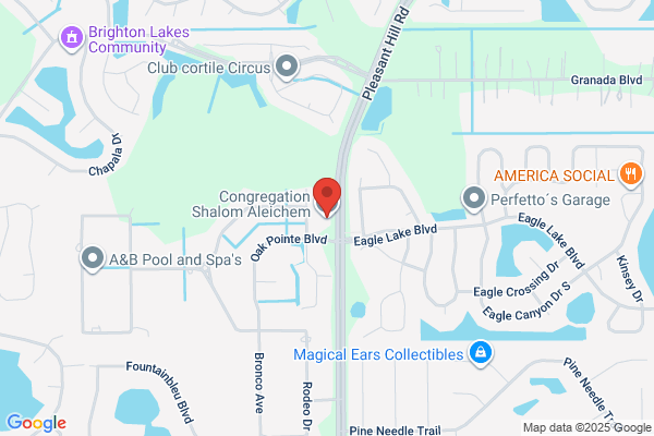 Congregation Shalom Aleichem