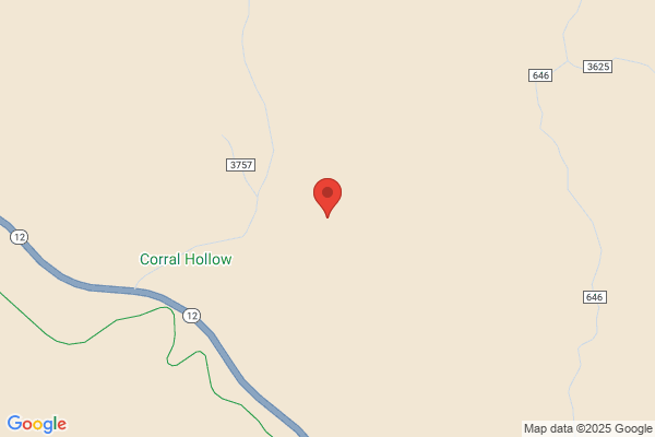 Cabin Hollow Kennels