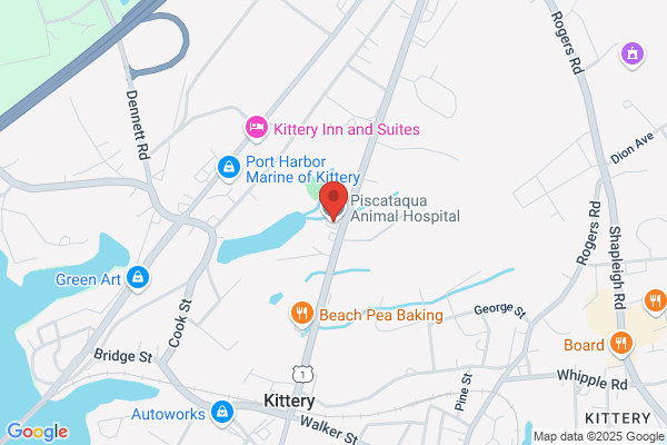 Piscataqua Animal Hospital & Pet Supply