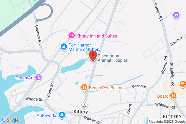 Piscataqua Animal Hospital & Pet Supply