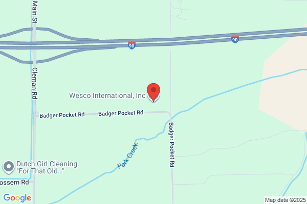 Wesco International Inc