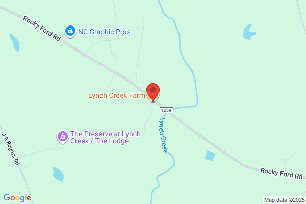 Lynch Creek