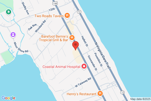 La Playa International Food