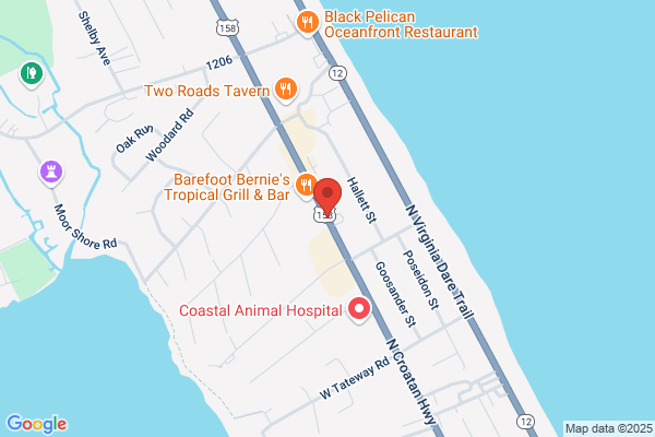 The Spot