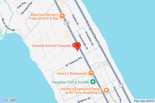Ocean Inc Services Llc
