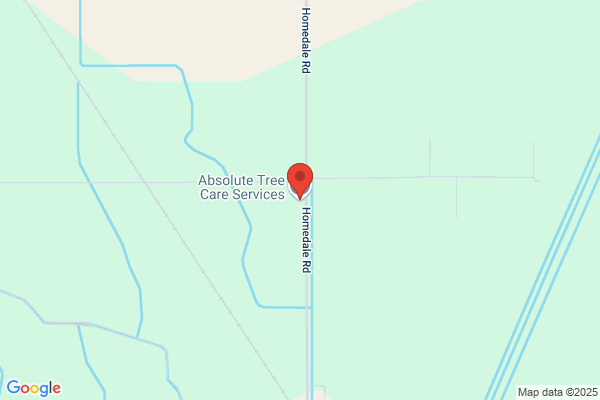 Absolute Tree Care Service