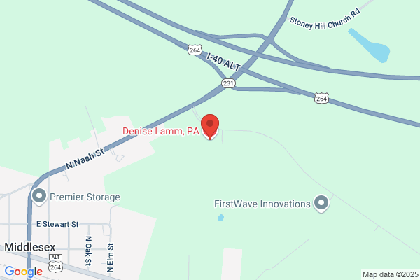 Denise Lamm, PA